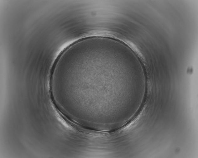 X0000091010846200708091600