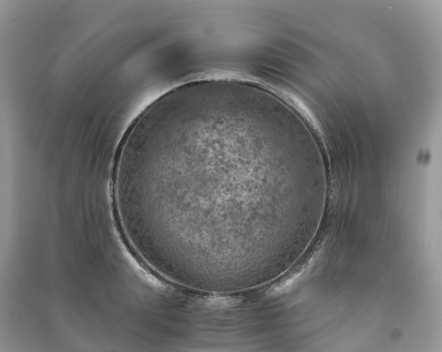 X0000091010847200708091600