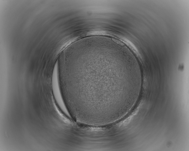 X0000091010849200708091600