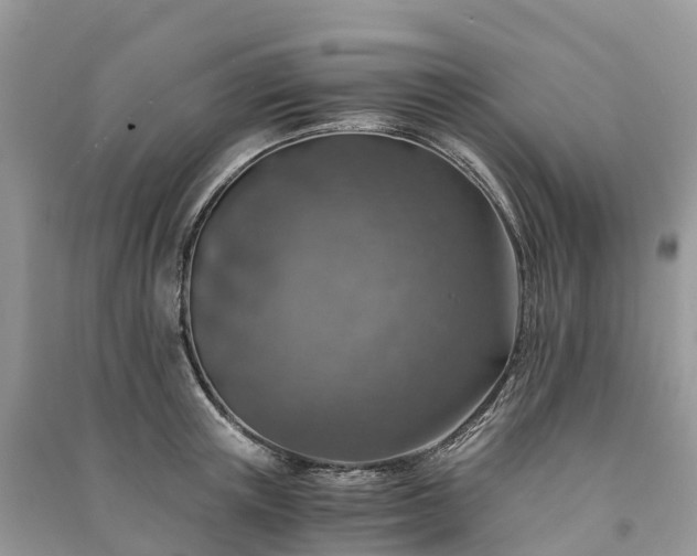 X0000091010851200708091600