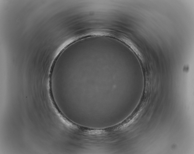 X0000091010853200708091600