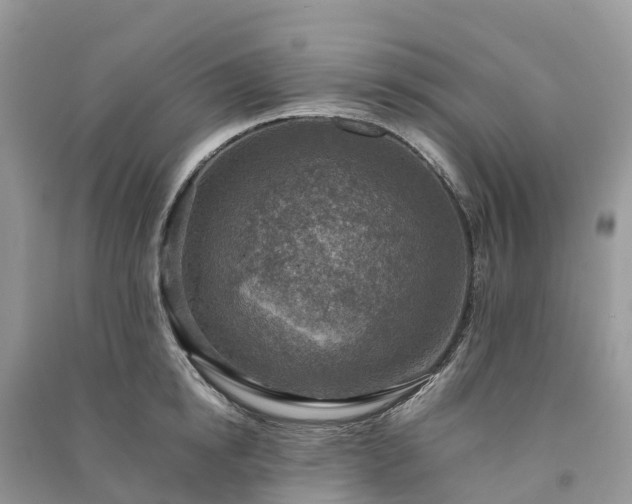 X0000091010854200708091600