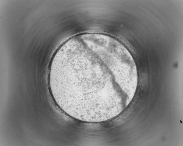 X0000091010856200708091600