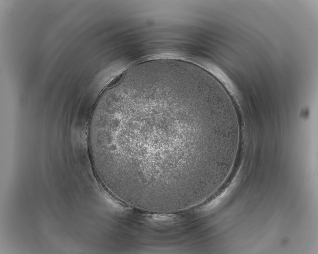 X0000091010857200708091600