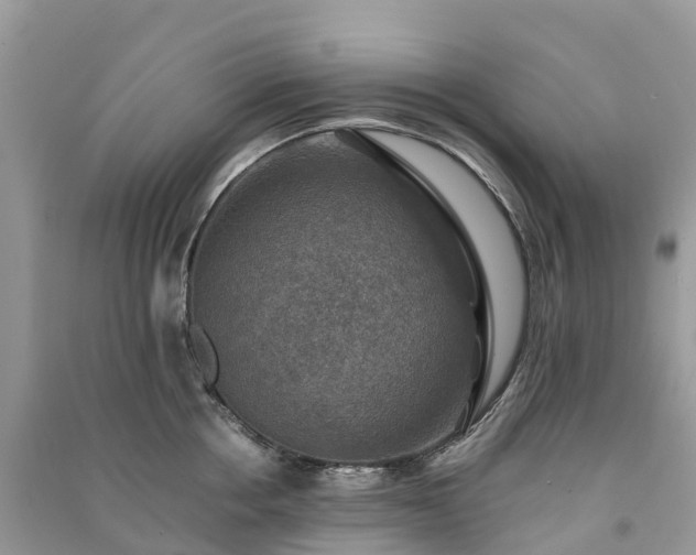 X0000091010858200708091600