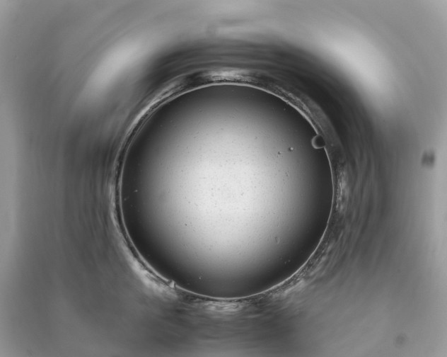 X0000091010861200708091600