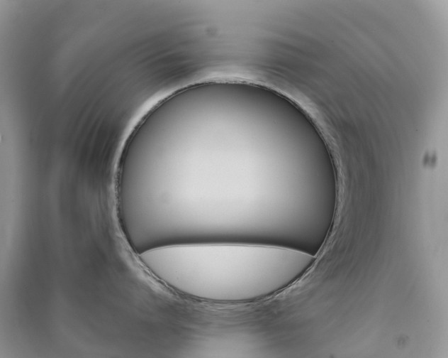 X0000091010864200708091600