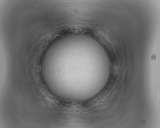 X0000091010865200708091559