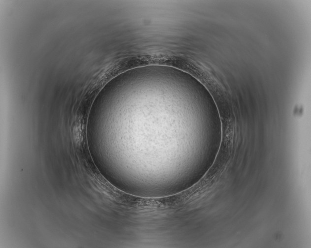 X0000091010866200708091559