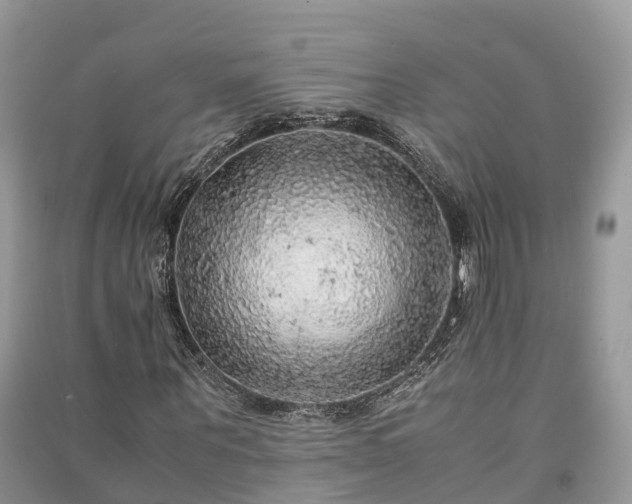 X0000091010867200708091559
