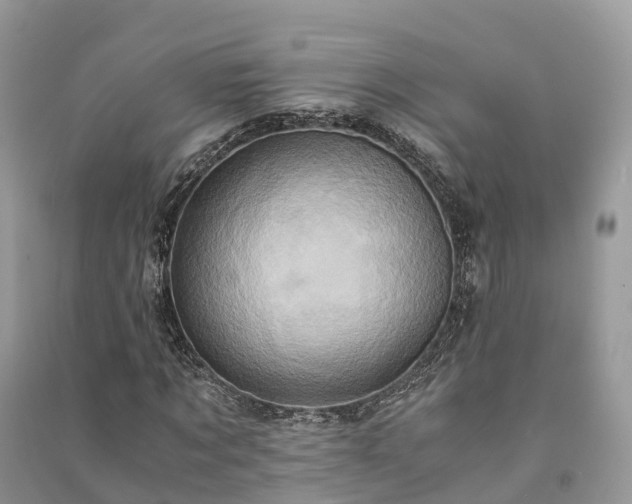 X0000091010869200708091559