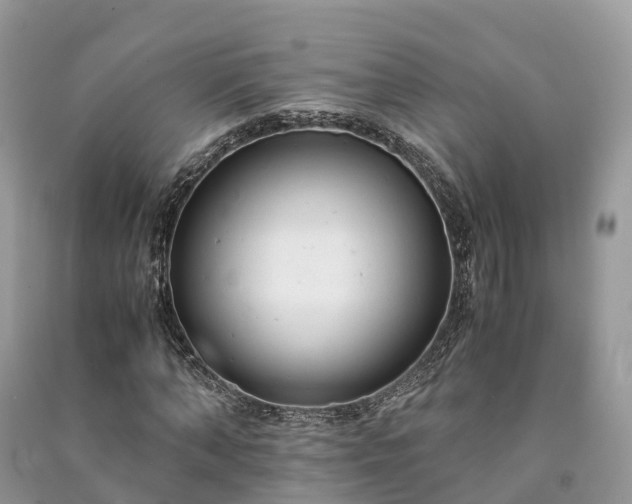 X0000091010870200708091559