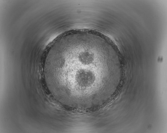 X0000091010871200708091559