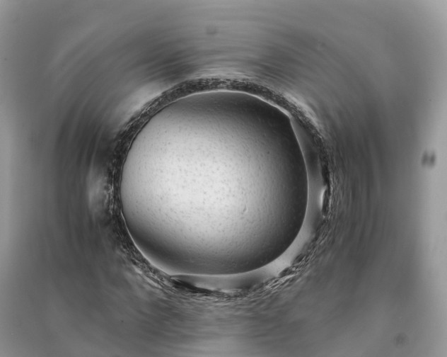 X0000091010872200708091559