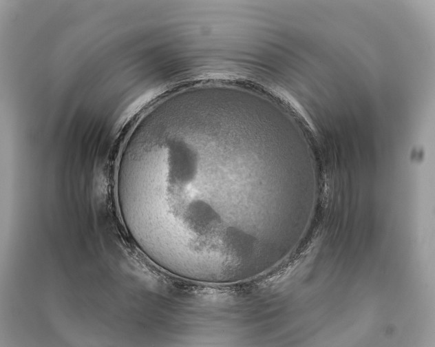 X0000091010874200708091559