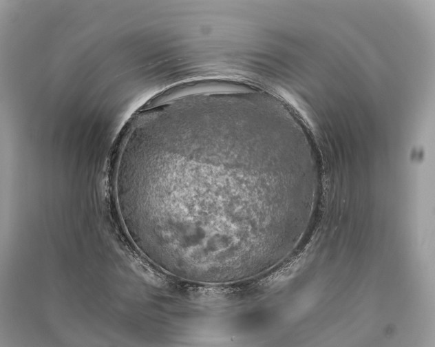 X0000091010875200708091559