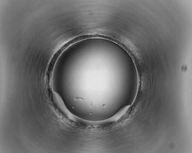 X0000091010876200708091559