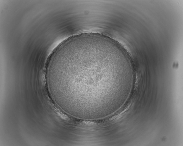 X0000091010878200708091559