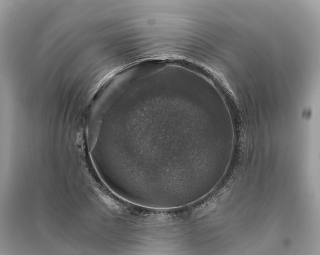X0000091010881200708091559