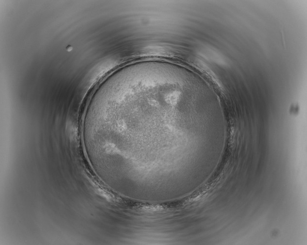 X0000091010882200708091559