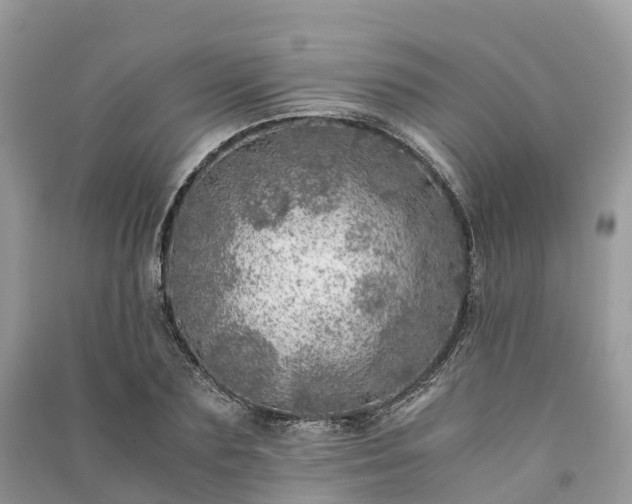 X0000091010883200708091559