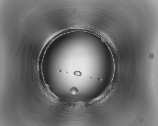 X0000091010884200708091559