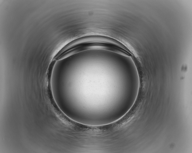 X0000091010885200708091559