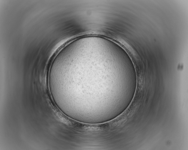 X0000091010886200708091559