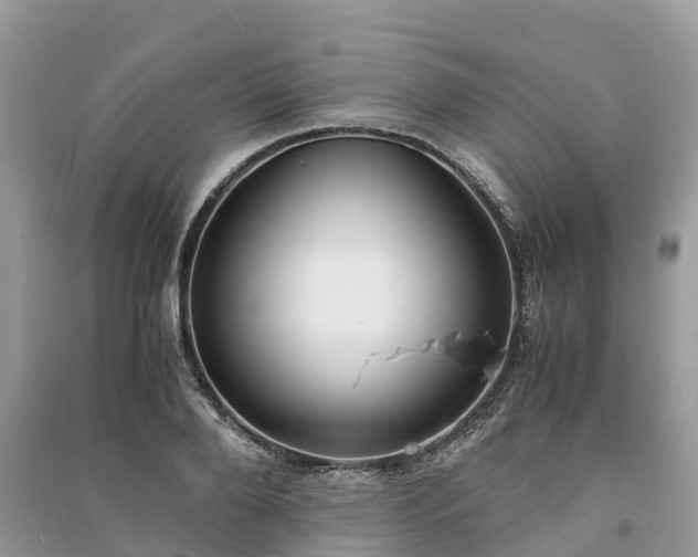 X0000091010888200708091559