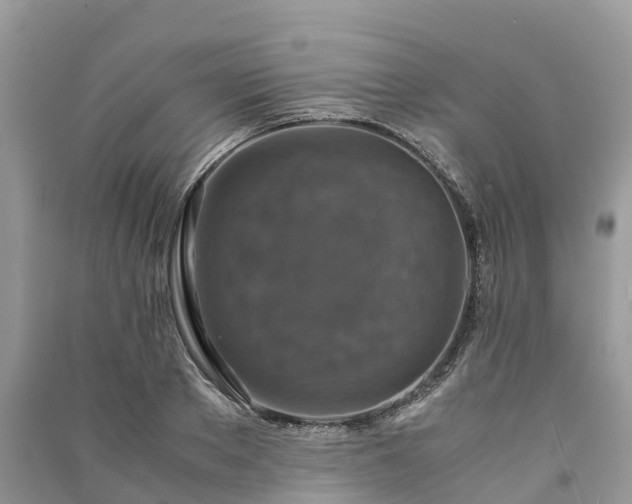 X0000091010889200708091559