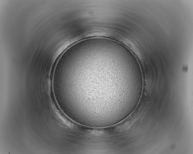 X0000091010890200708091559