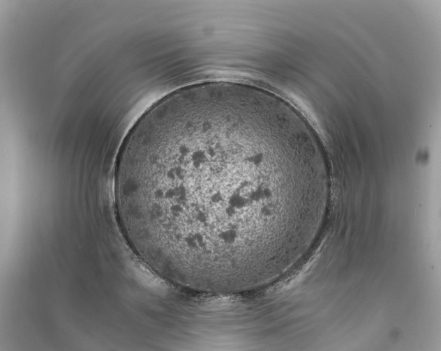 X0000091010891200708091559