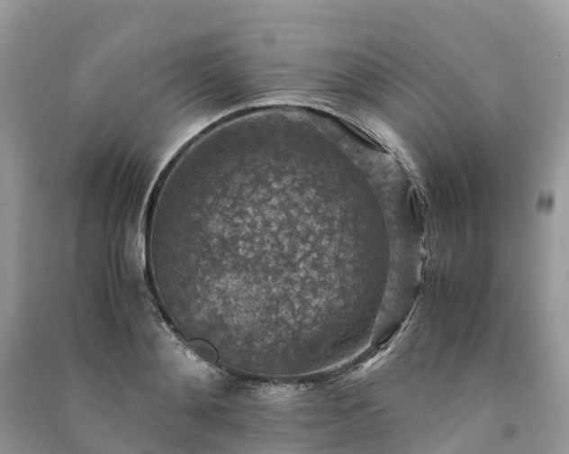 X0000091010892200708091559