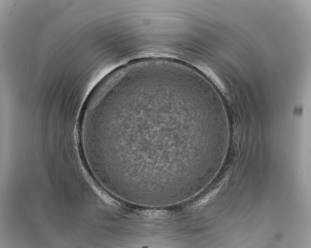 X0000091010893200708091559