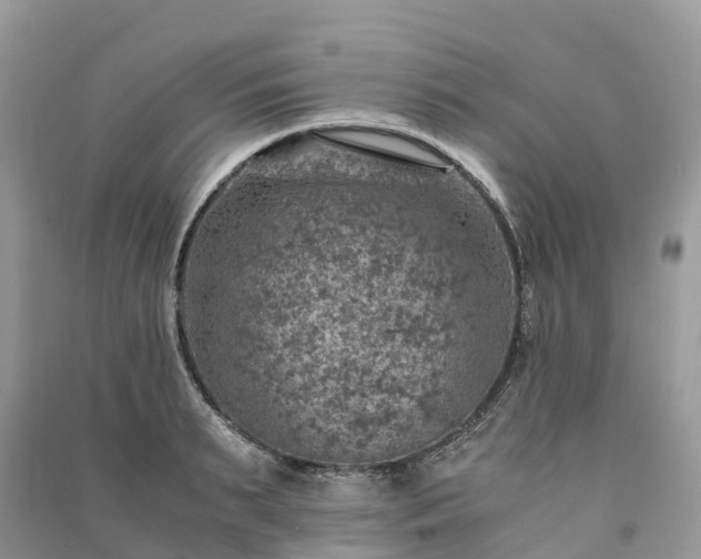 X0000091010895200708091559
