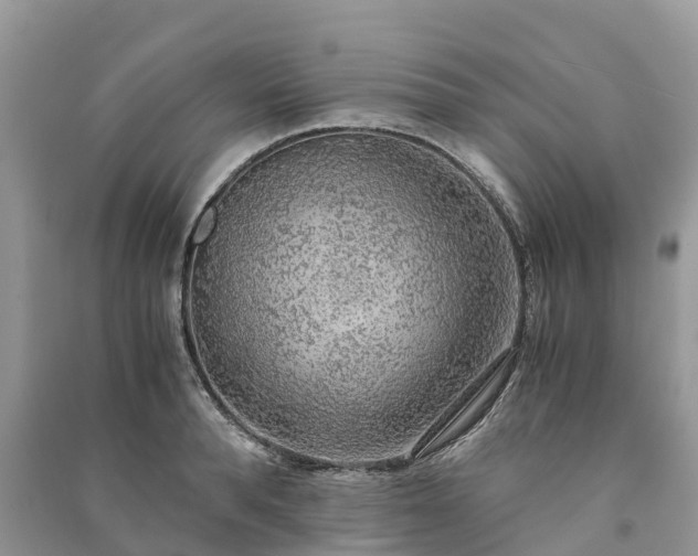 X0000091010896200708091559