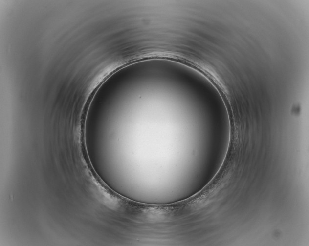 X0000091010898200708091559