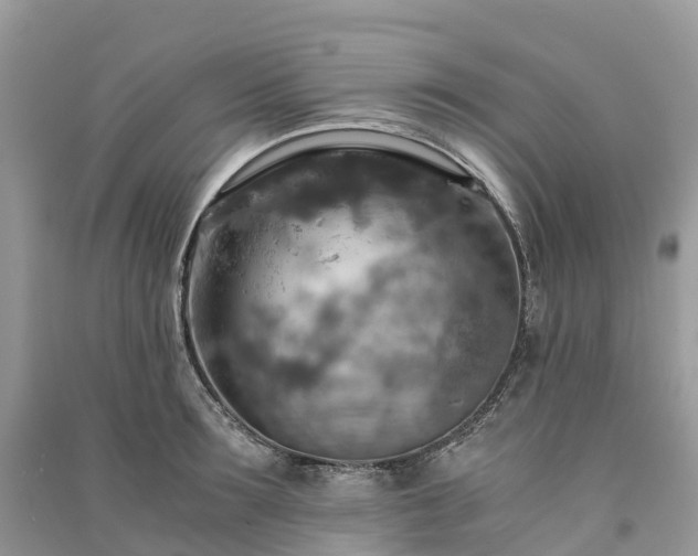 X0000091010899200708091559