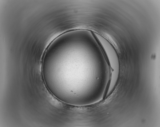 X0000091010900200708091559