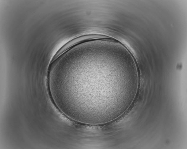X0000091010901200708091559