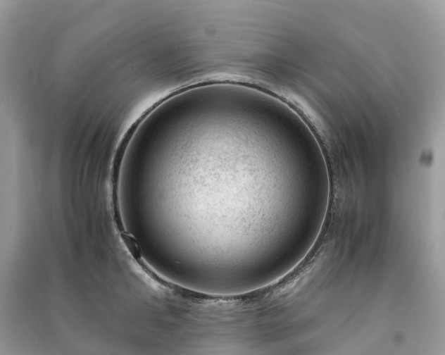 X0000091010902200708091559