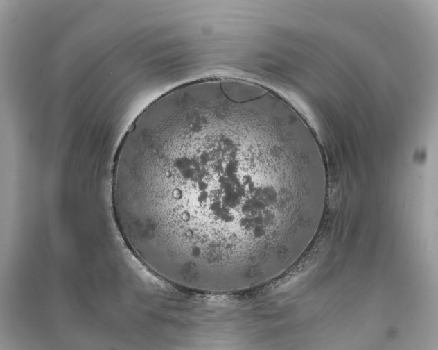 X0000091010903200708091559