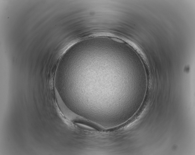 X0000091010905200708091558