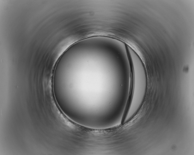 X0000091010906200708091558