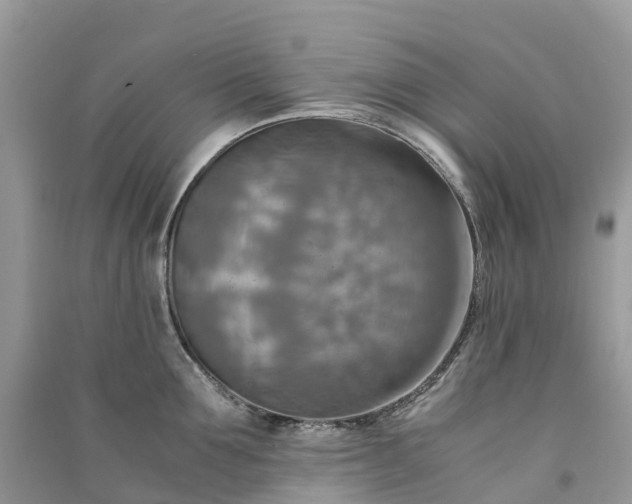 X0000091010907200708091558