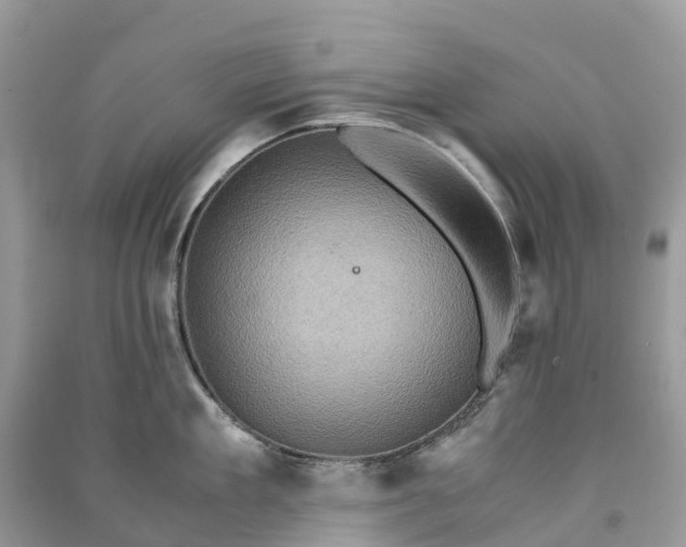 X0000091010909200708091558