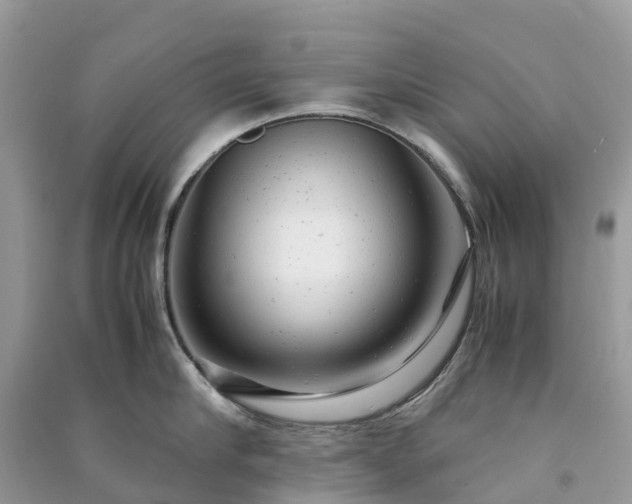 X0000091010910200708091558