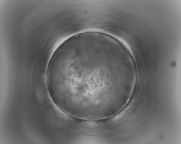 X0000091010911200708091558