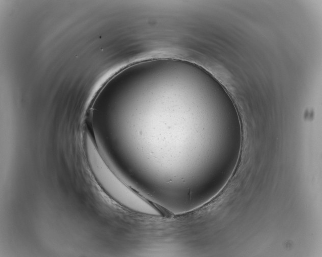 X0000091010912200708091558