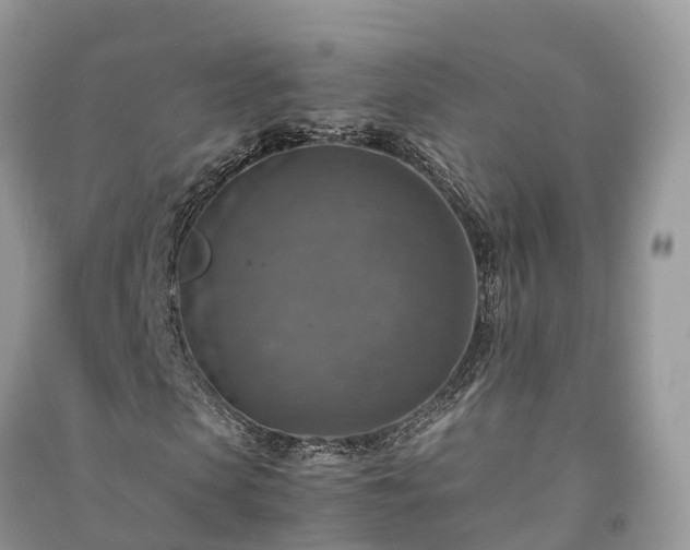 X0000091010913200708091558